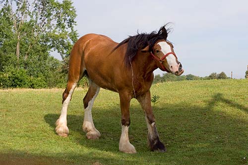20051628.jpg